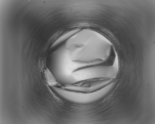 X0000081561225200702121347