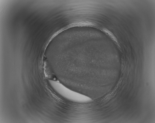 X0000081561226200702121347