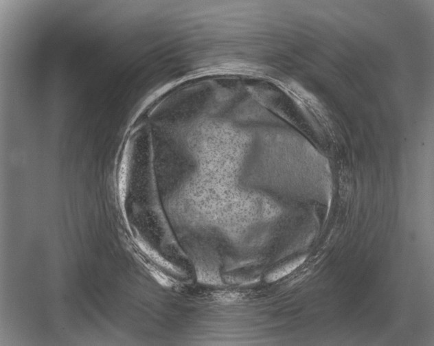 X0000081561230200702121347