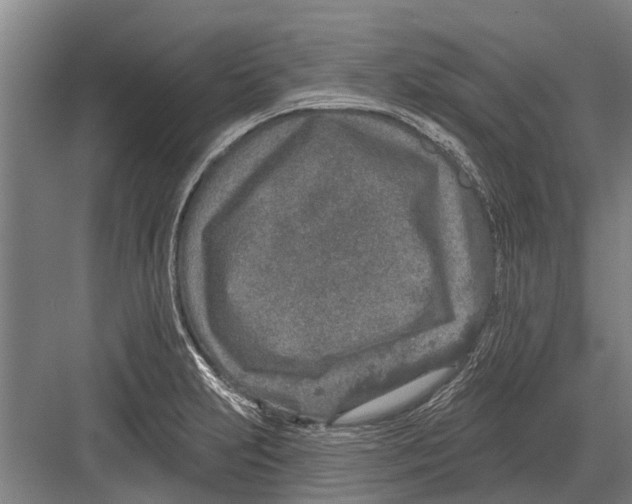 X0000081561231200702121347