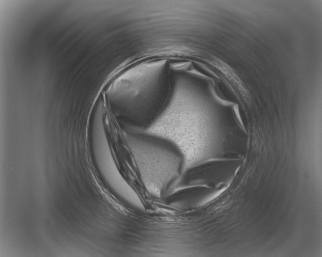 X0000081561234200702121347