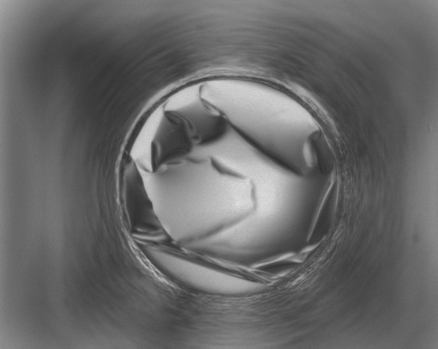 X0000081561238200702121347