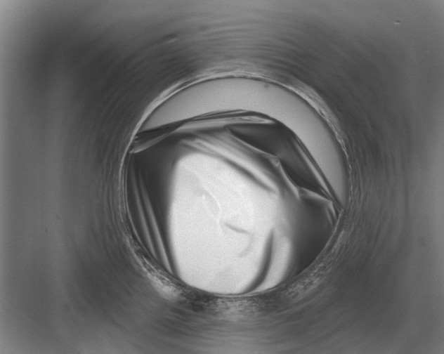 X0000081561242200702121347