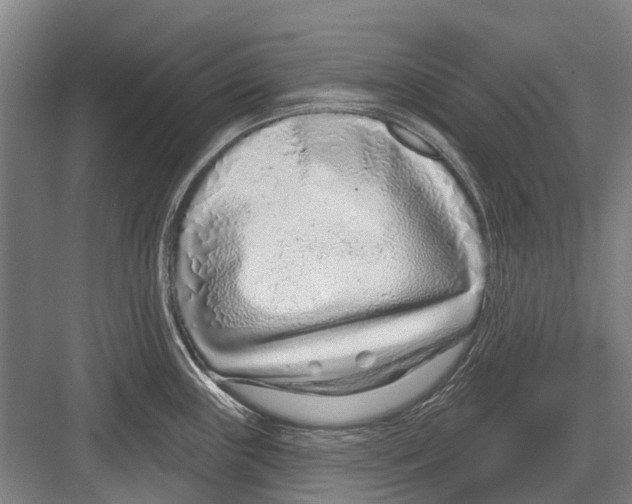 X0000081561243200702121347