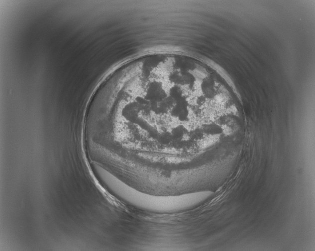 X0000081561245200702121347
