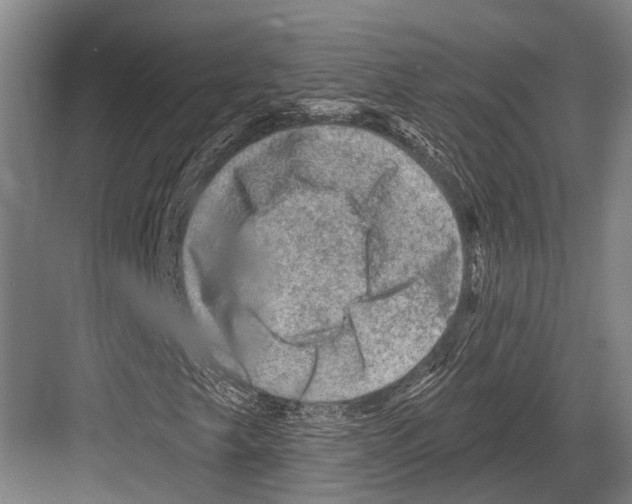 X0000081561249200702121347