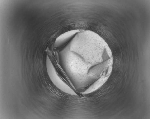 X0000081561250200702121347