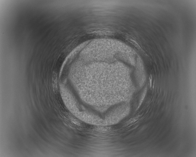 X0000081561251200702121346