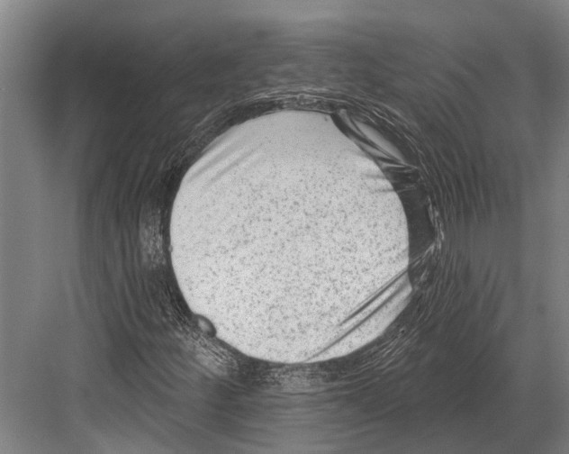 X0000081561252200702121346