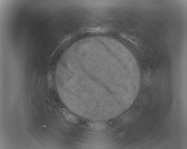 X0000081561254200702121346