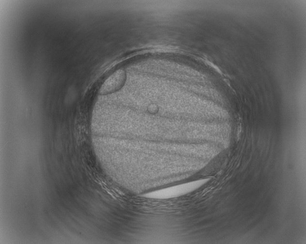 X0000081561255200702121346