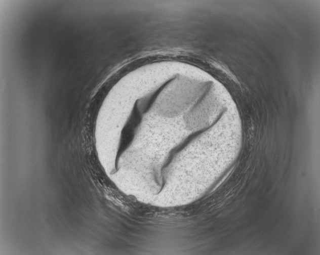 X0000081561256200702121346