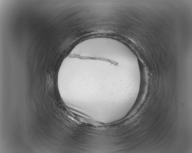 X0000081561257200702121346