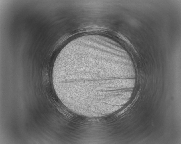 X0000081561259200702121346