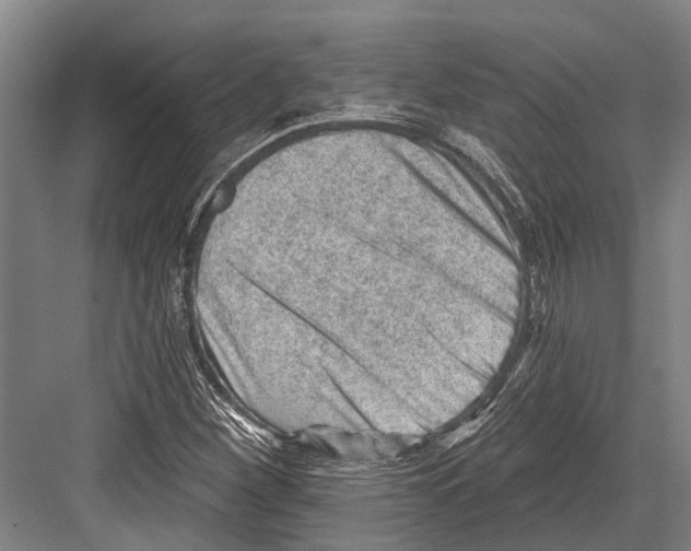 X0000081561260200702121346