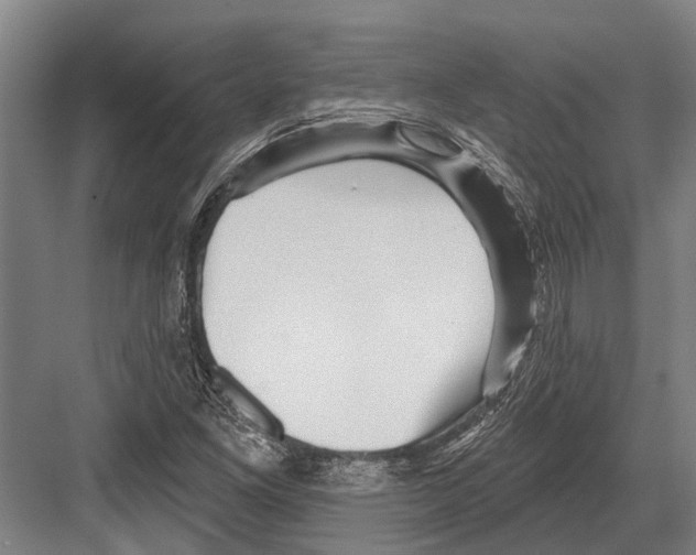 X0000081561261200702121346