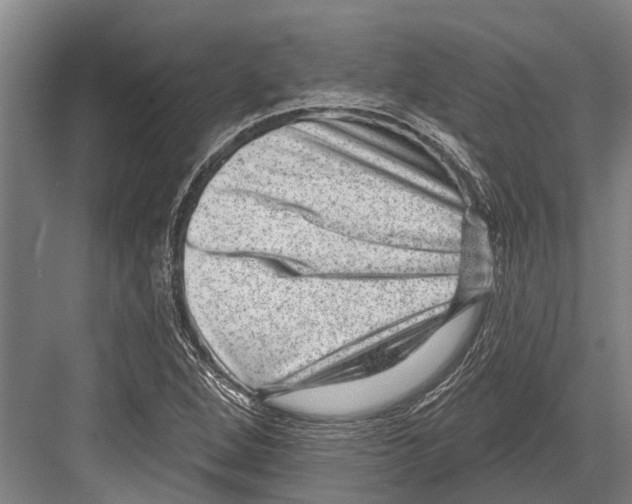 X0000081561264200702121346