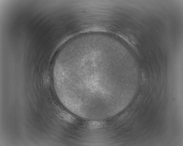 X0000081561266200702121346