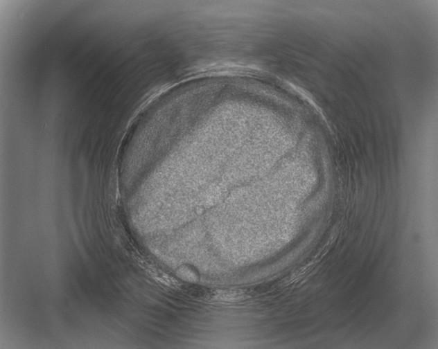 X0000081561267200702121346