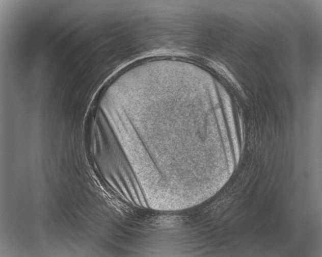 X0000081561268200702121346