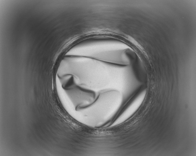 X0000081561269200702121346