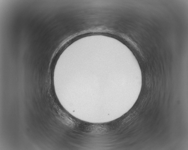 X0000081561270200702121346