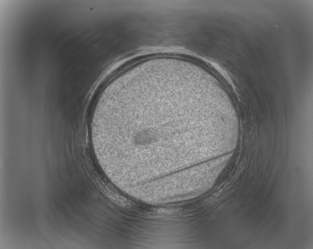 X0000081561271200702121346