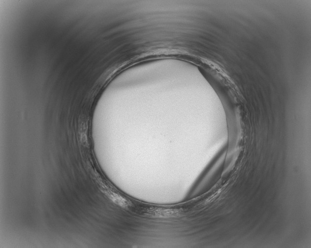 X0000081561273200702121346