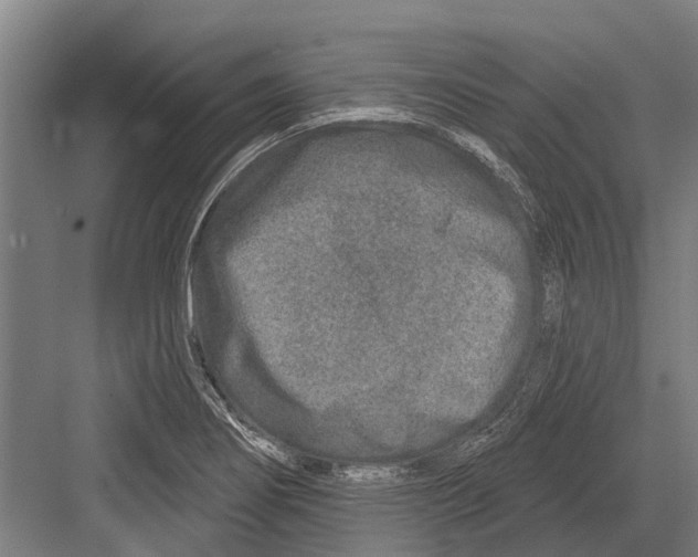 X0000081561274200702121346