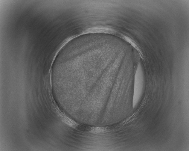 X0000081561275200702121346