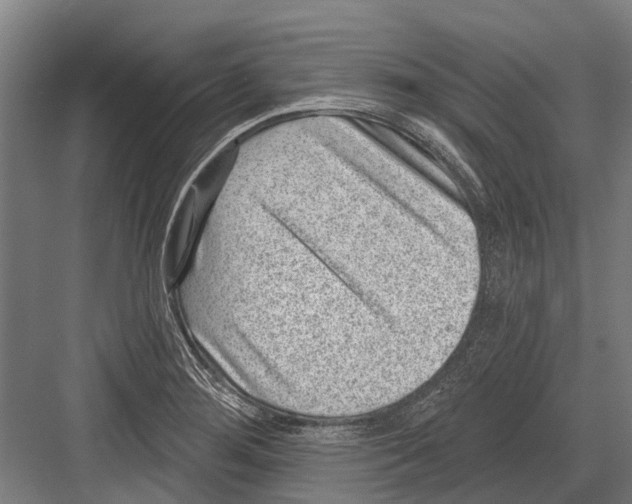 X0000081561276200702121346