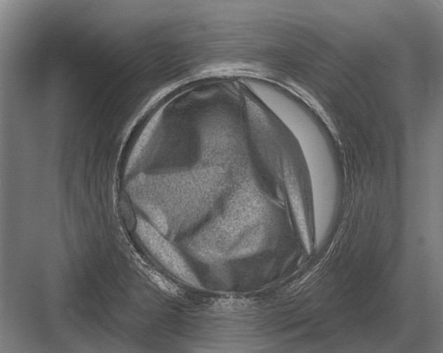 X0000081561277200702121346