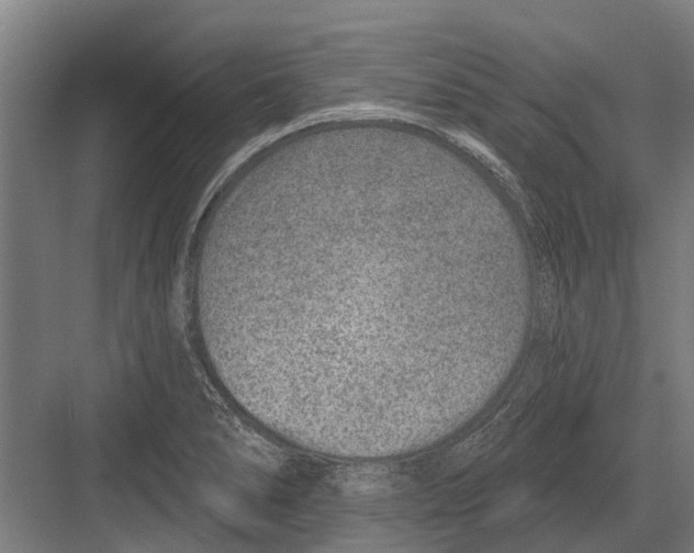 X0000081561278200702121346