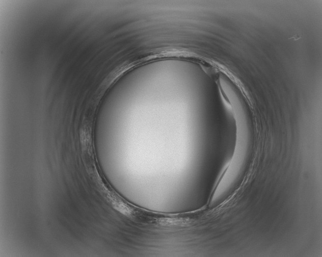 X0000081561281200702121346