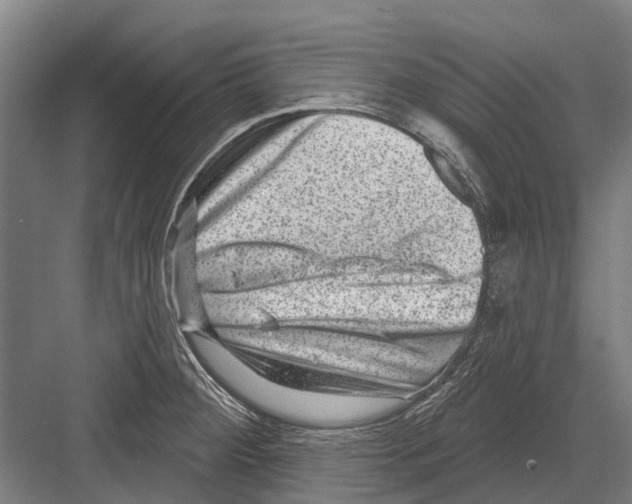 X0000081561284200702121346