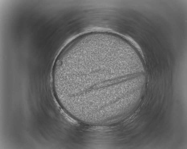 X0000081561287200702121346