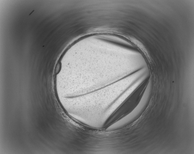 X0000081561288200702121346