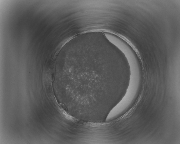 X0000081561289200702121346