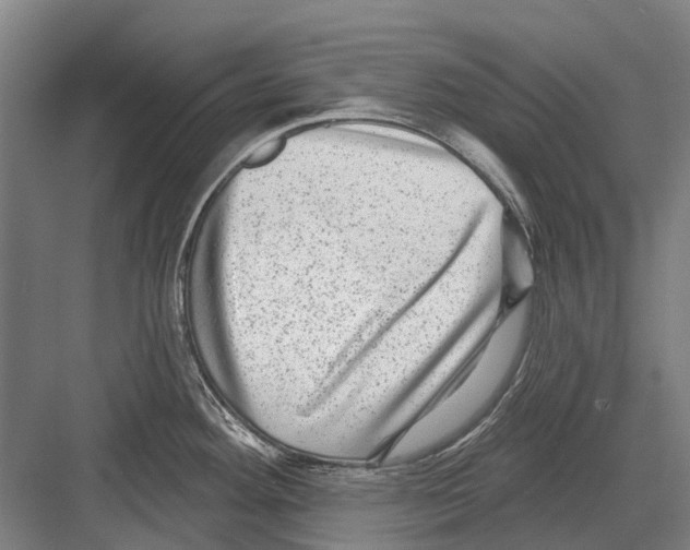 X0000081561292200702121346