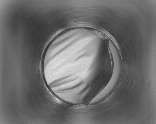 X0000081561293200702121346