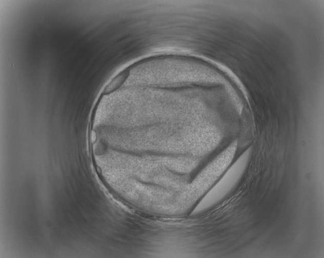 X0000081561295200702121346