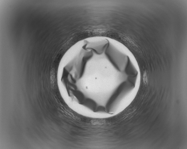 X0000081561299200702121345