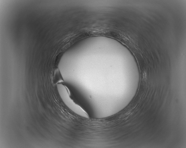 X0000081561300200702121345