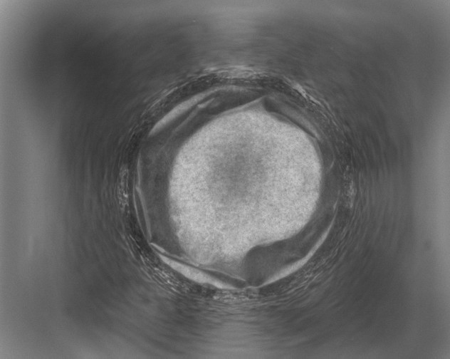 X0000081561301200702121345