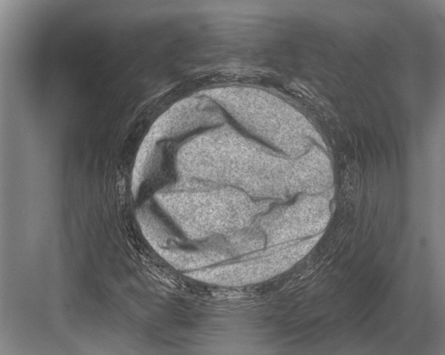 X0000081561302200702121345