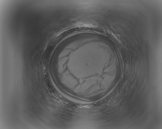 X0000081561303200702121345