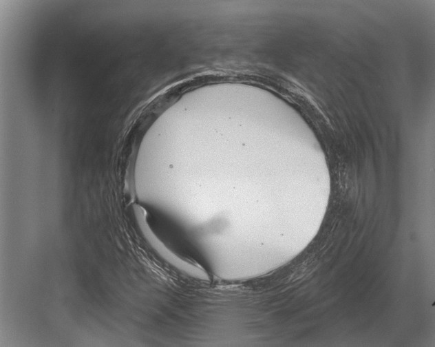 X0000081561304200702121345