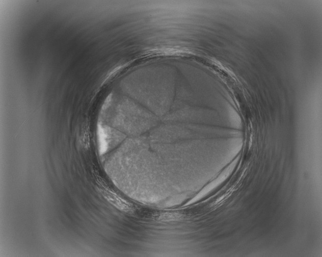 X0000081561306200702121345