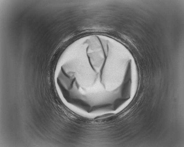 X0000081561307200702121345