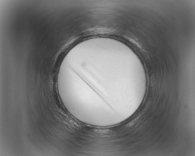 X0000081561309200702121345